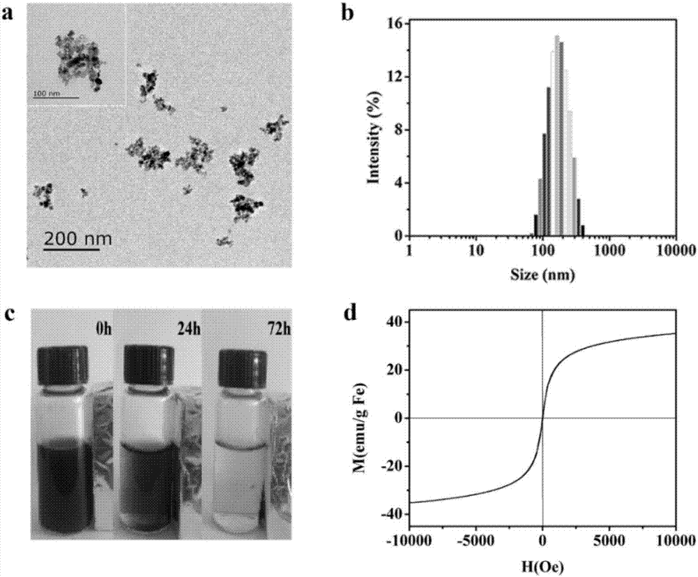 Preparation method of pH (potential of hydrogen)/reduction response cascade release magnetic targeting drug carrier with core-shell structure