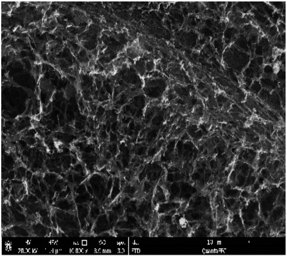 Preparation method of electromagnetic shielding material based on carbon material, polypyrrole and alpha-iron sesquioxide