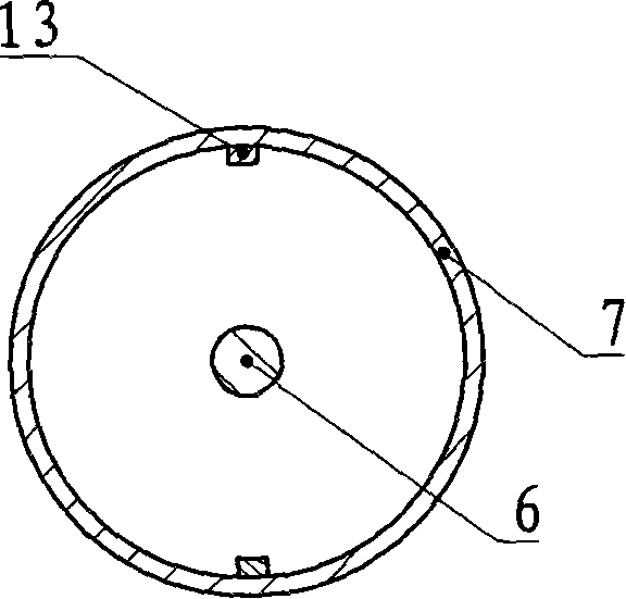 Digital rebound tester