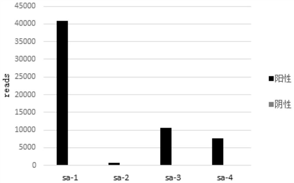 A method for detecting microbial target sequences based on single-primer probe capture