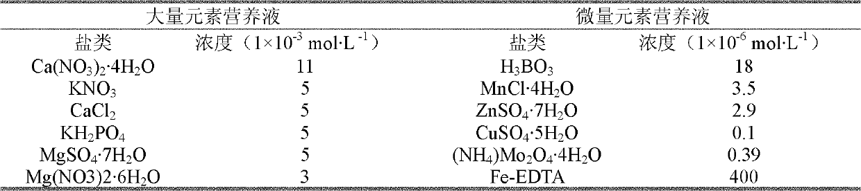 Method for positioning immune tissues of growth hormone for malus plants and application thereof