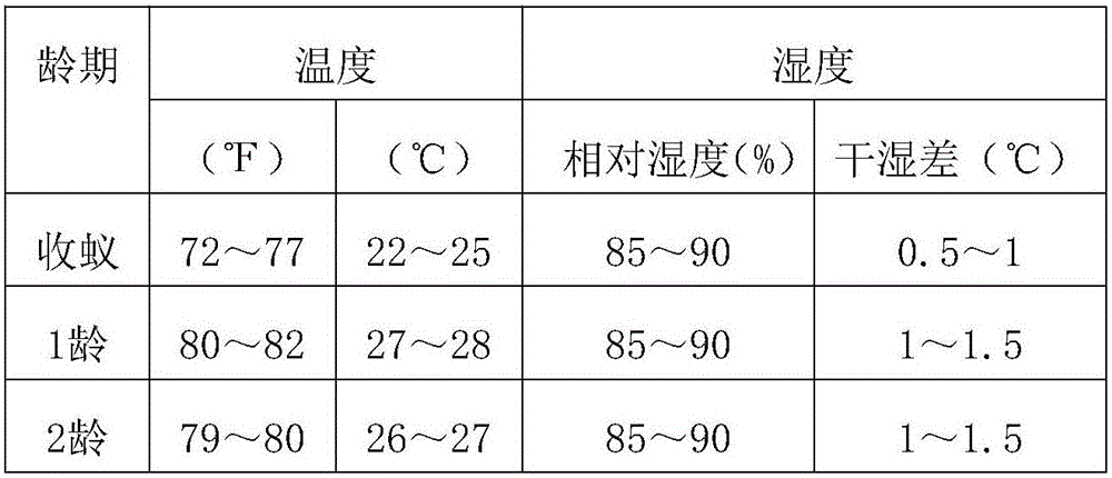 Young silkworm cooperative-rearing method determining newly-hatched silkworm amount based on egg amount and adopting mulberry leaf attraction based newly-hatched silkworm collecting method