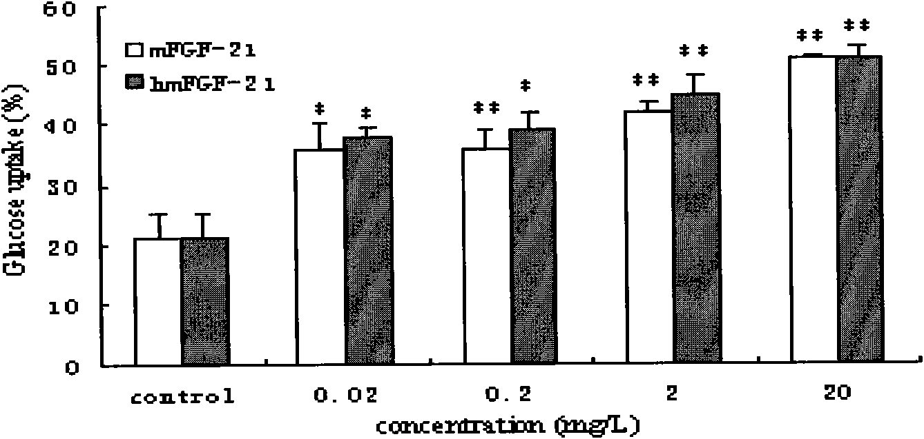 Mutated human-source fibroblast growth factor and application in treating endocrine diseases