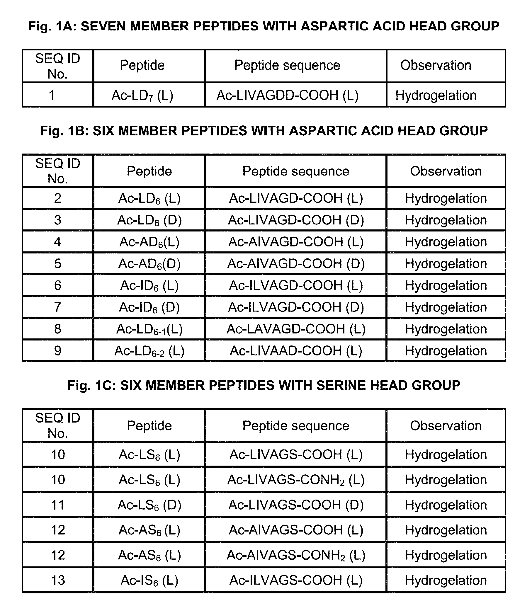 Amphiphilic linear peptidepeptoid and hydrogel comprising the same