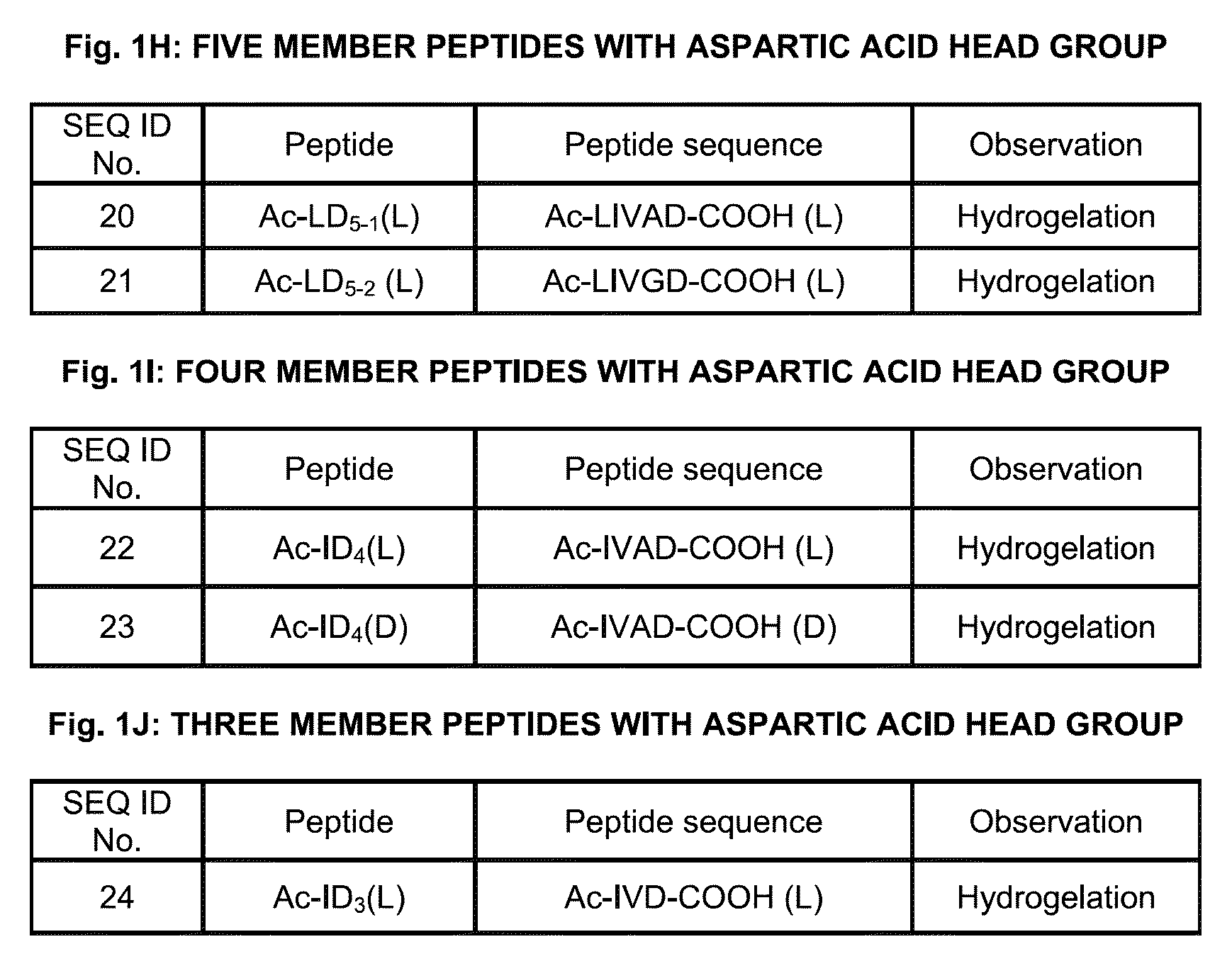 Amphiphilic linear peptidepeptoid and hydrogel comprising the same