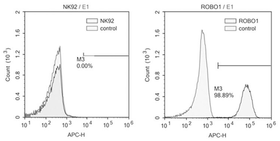 Cell, immunotherapy product, gene editing method, cell preparation method and application