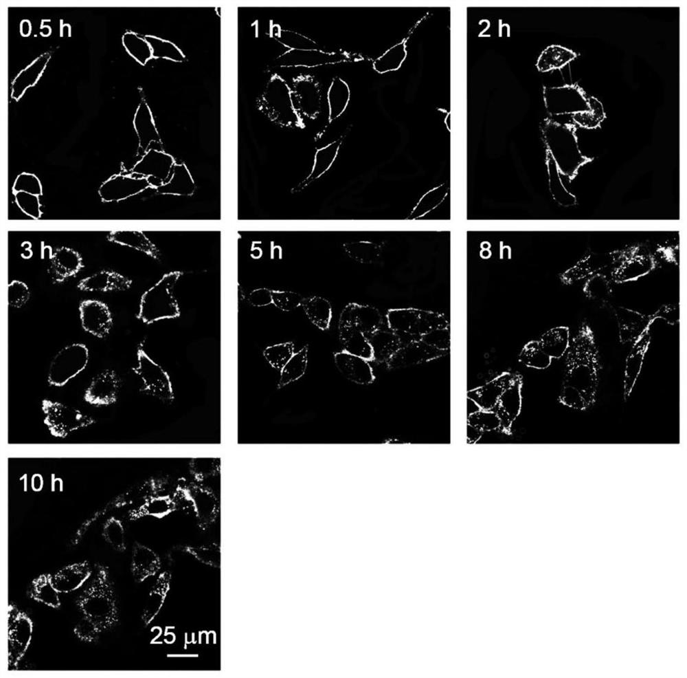 A long-time multicolor fluorescence imaging reagent for cell membrane, its preparation method and application