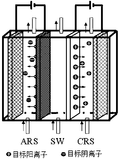 Separation process of electronic control ion selective permeable membrane