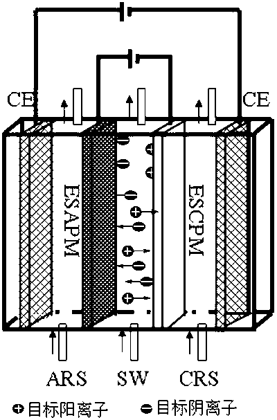 Separation process of electronic control ion selective permeable membrane