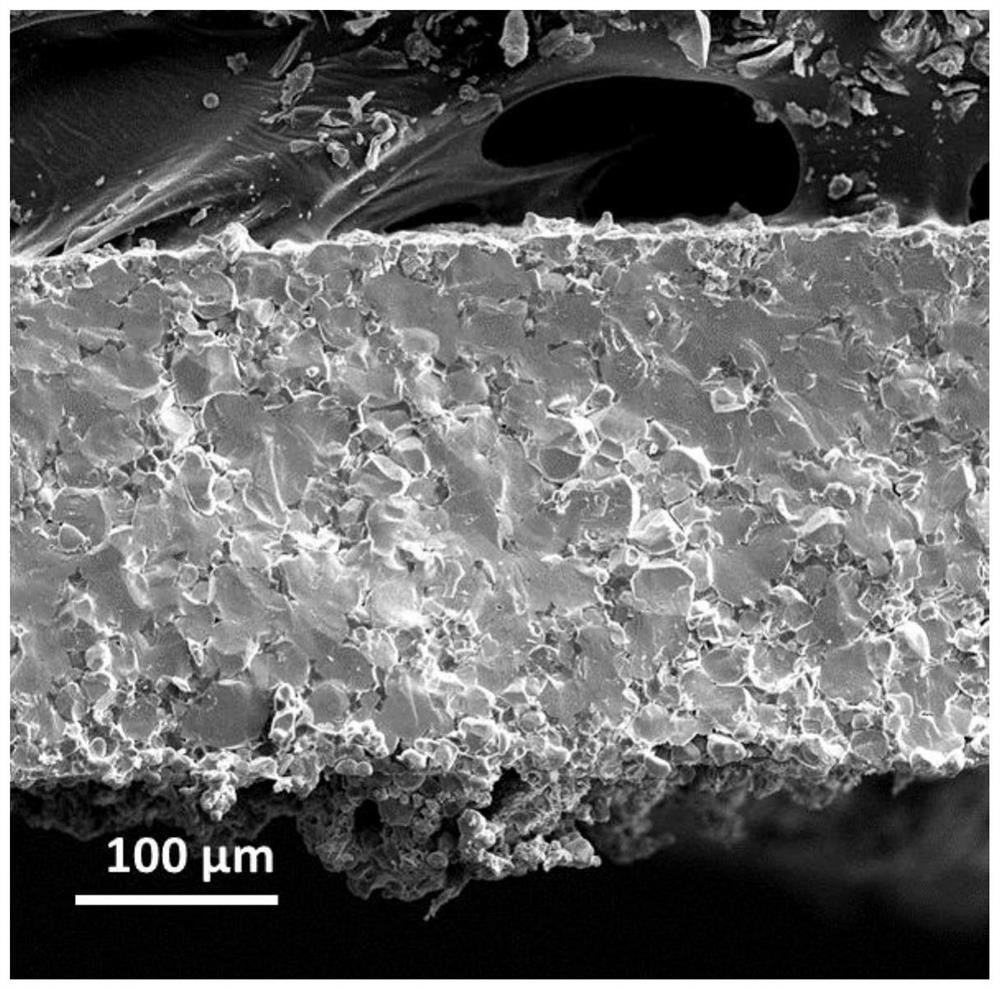 A method for treating the low-impedance interface of the positive electrode of a solid-state lithium battery and the structure of the positive electrode