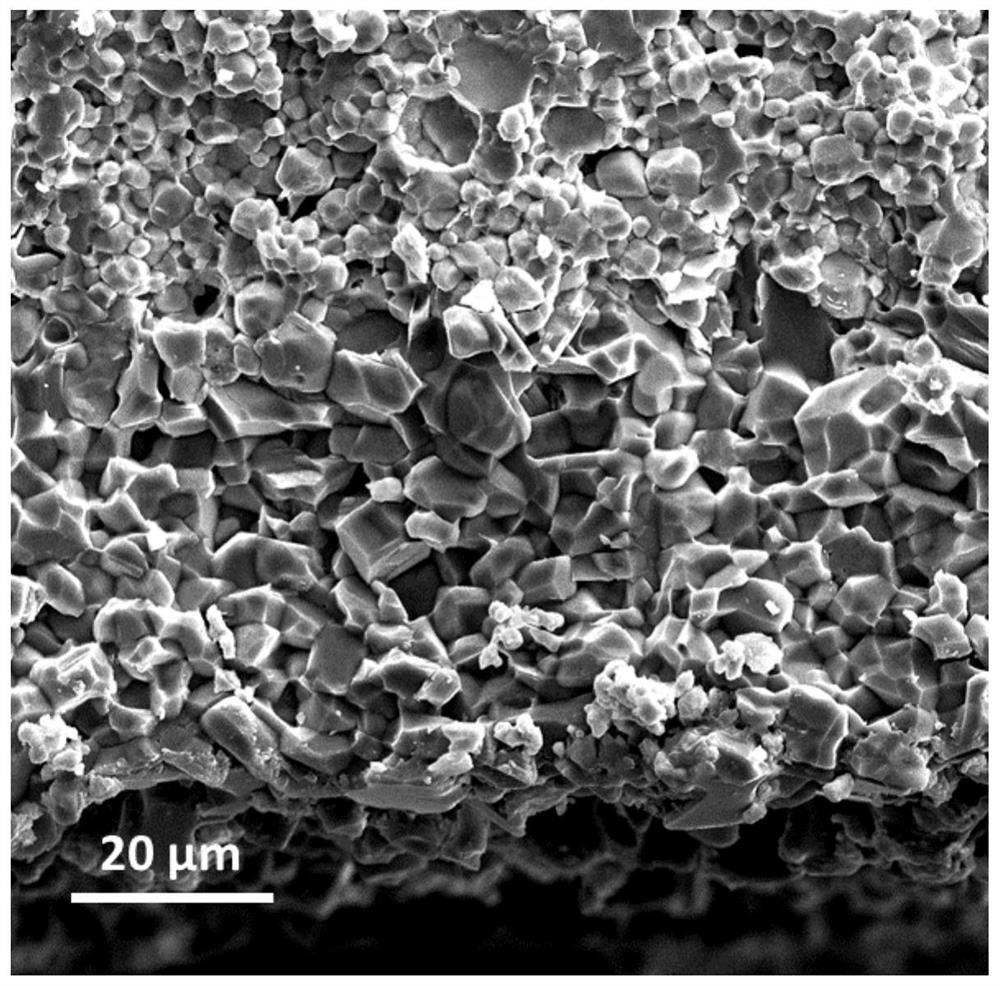 A method for treating the low-impedance interface of the positive electrode of a solid-state lithium battery and the structure of the positive electrode