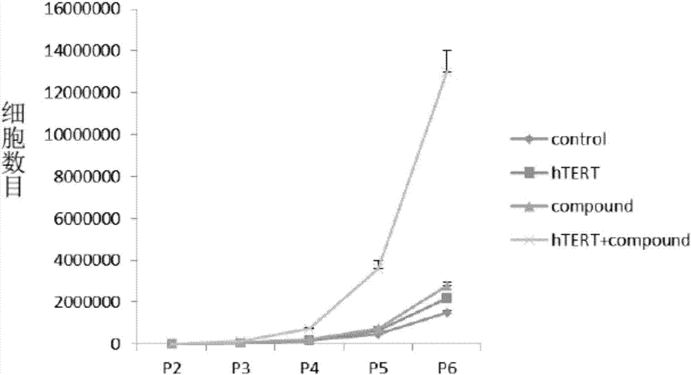 Method for lengthening, proliferating and culturing in-vitro telomeres of cartilage cells and human tissue engineering regenerated cartilage