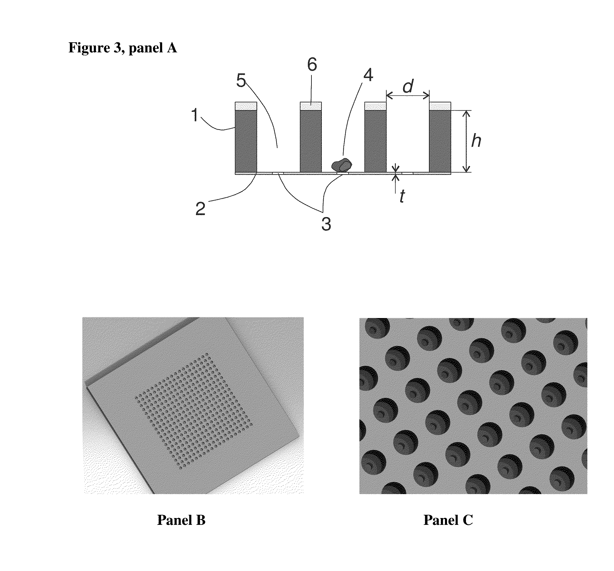 Microsieve Diagnostic Device In The Isolation and Analysis of Single Cells