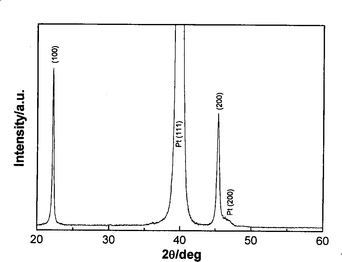 Preparation method of induced texture ferroelectric film at buffer layer