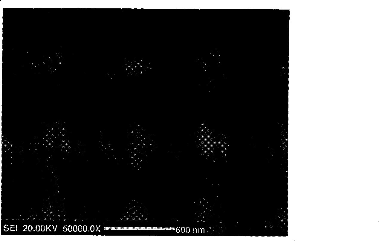 Preparation method of induced texture ferroelectric film at buffer layer