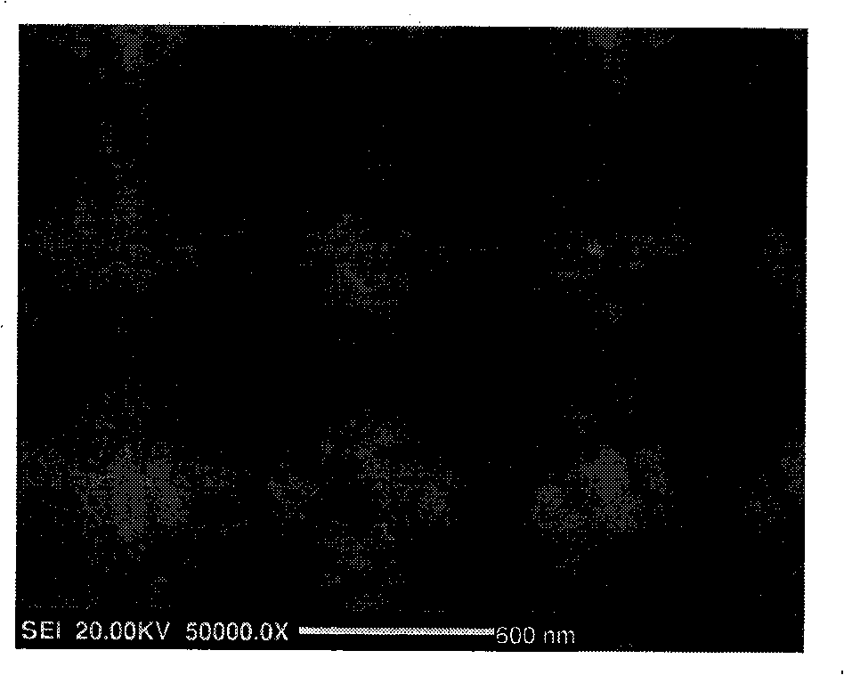 Preparation method of induced texture ferroelectric film at buffer layer