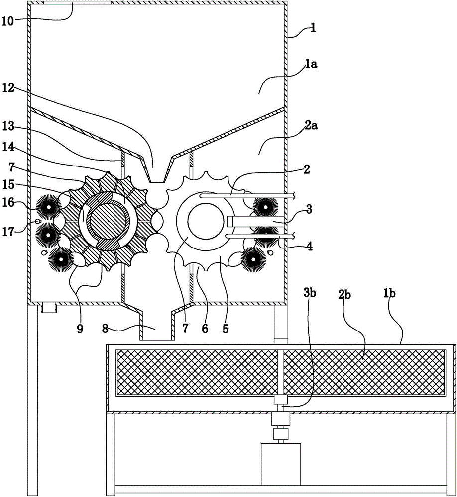 Peeled squid processing device