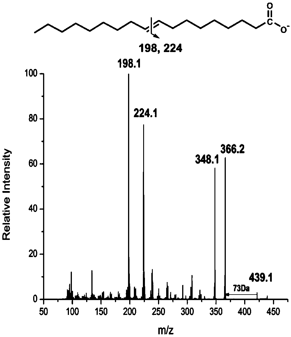 Mass spectrum qualitative and quantitative analysis method for free fatty acids based on double-derivatization technology