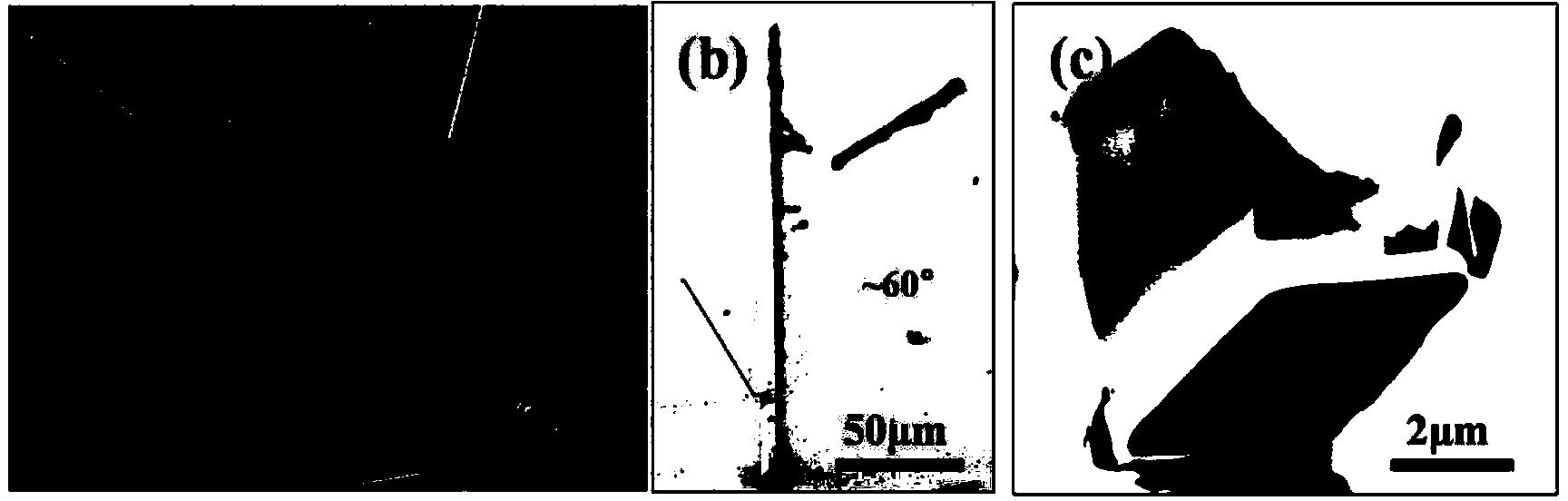 Preparation method of zinc oxide nanorods with parallelogram cross section