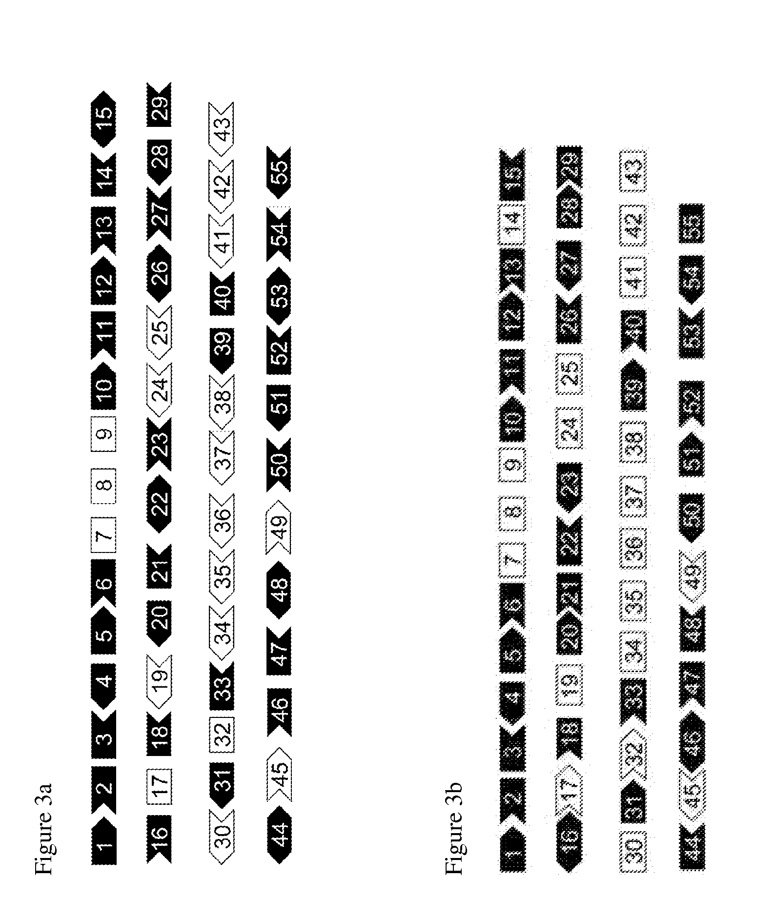 Methods and compositions for dysferlin exon-skipping