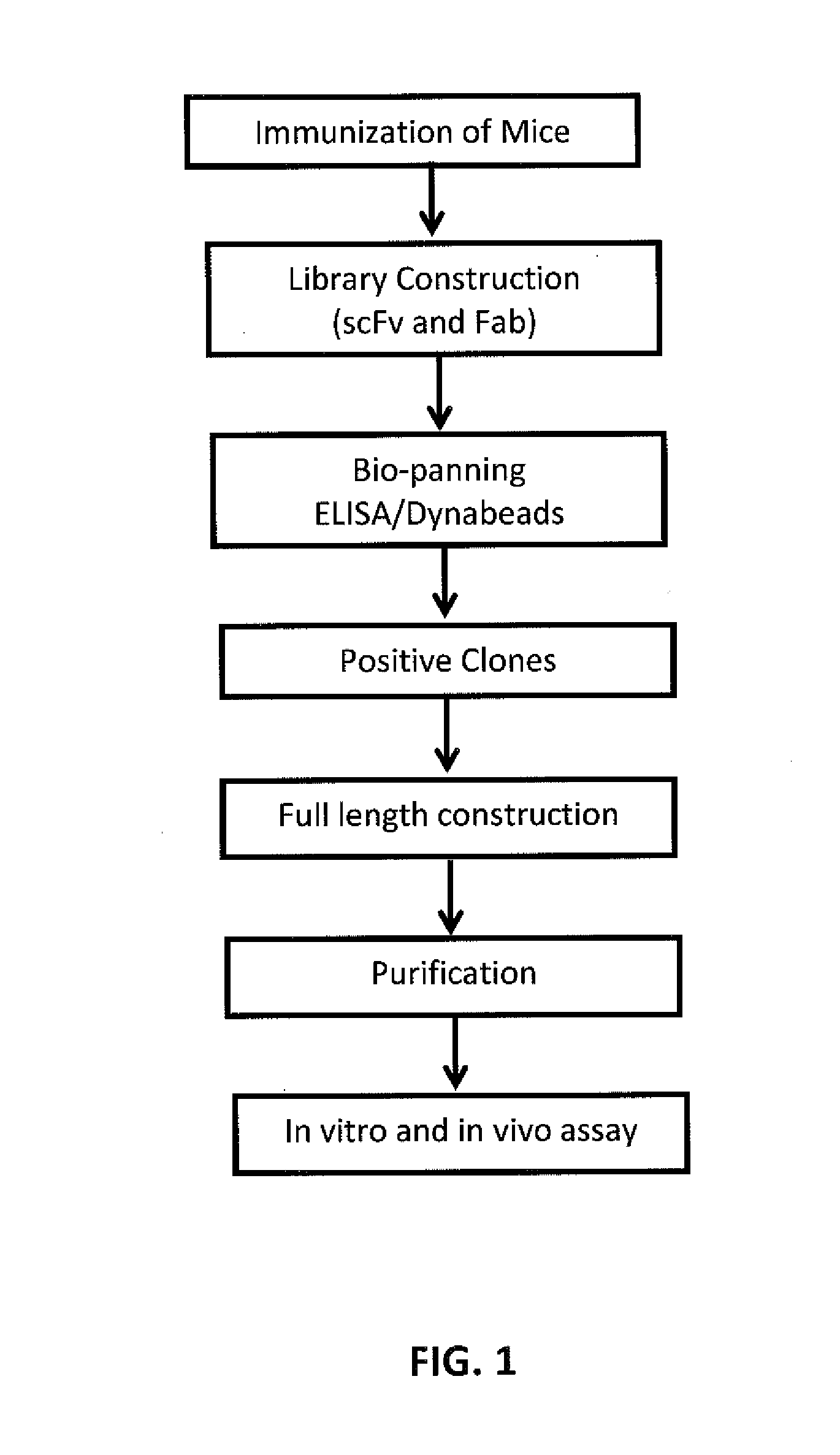 Anti-vegf antibodies and use thereof