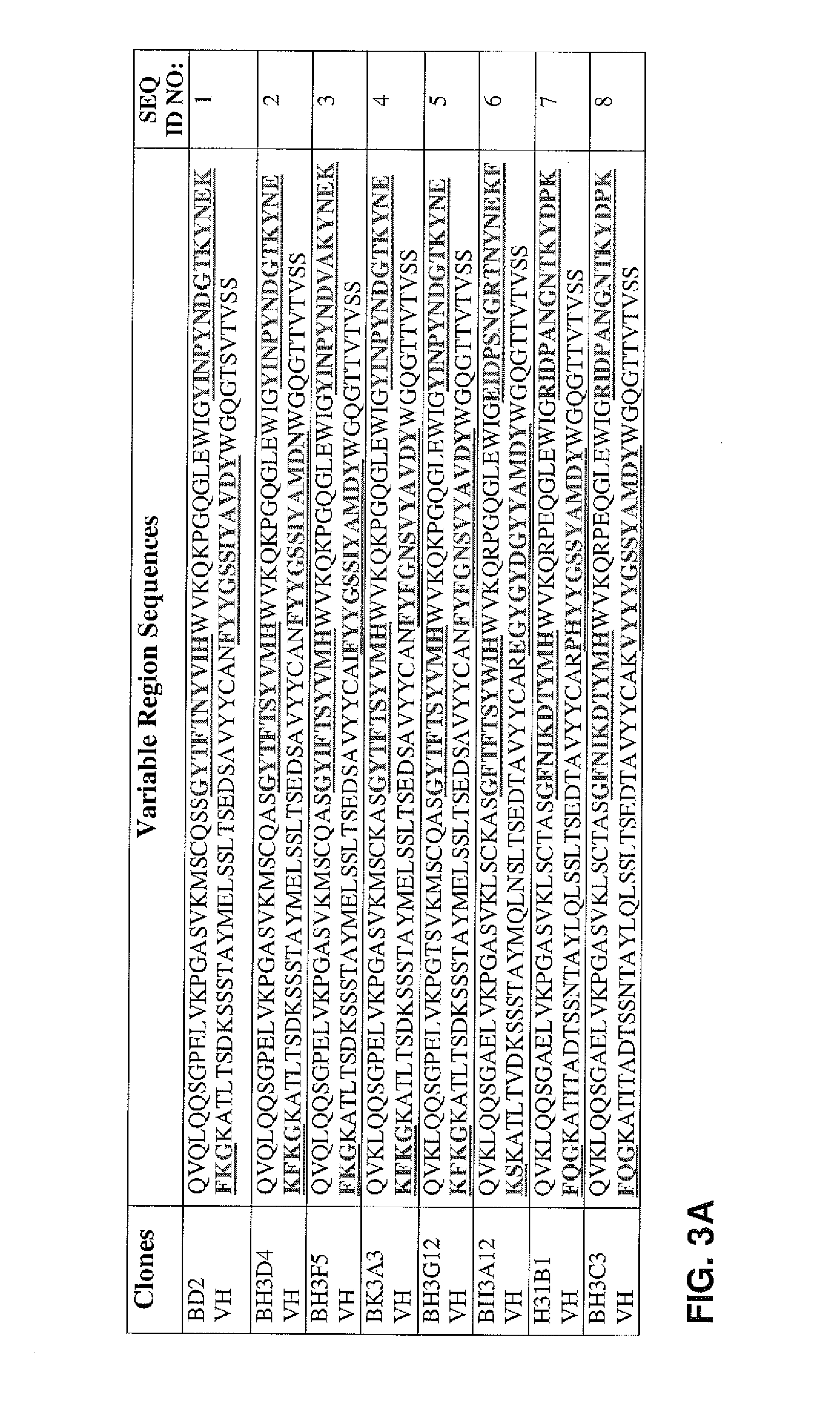 Anti-vegf antibodies and use thereof