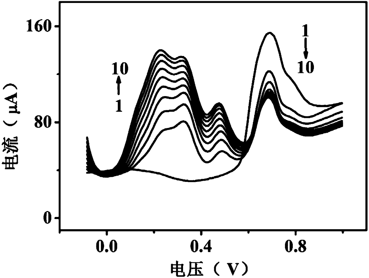 A bisphenol A electropolymerization film functionalized carbon nanotube/cadmium sulfide composite electrode and its preparation method and application