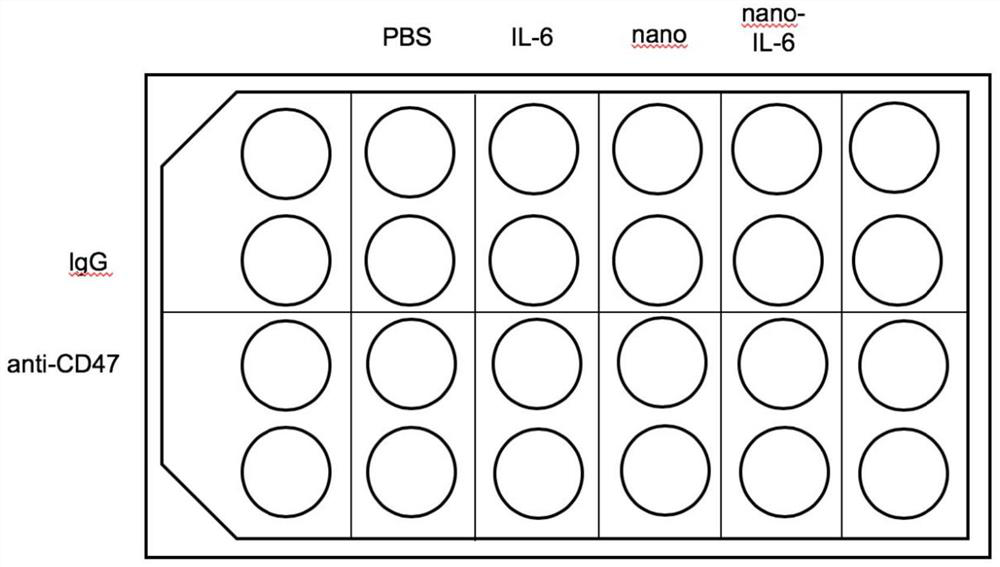 Application of combination of CD47 antibody and IL-6 cytokine drug to tumor treatment and method for verifying tumor treatment by combination of CD47 antibody and IL-6 cytokine drug