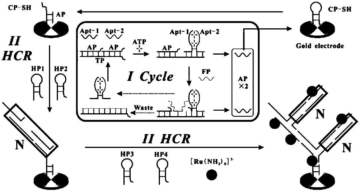 Electrochemical sensor for detecting ATP and preparation method thereof