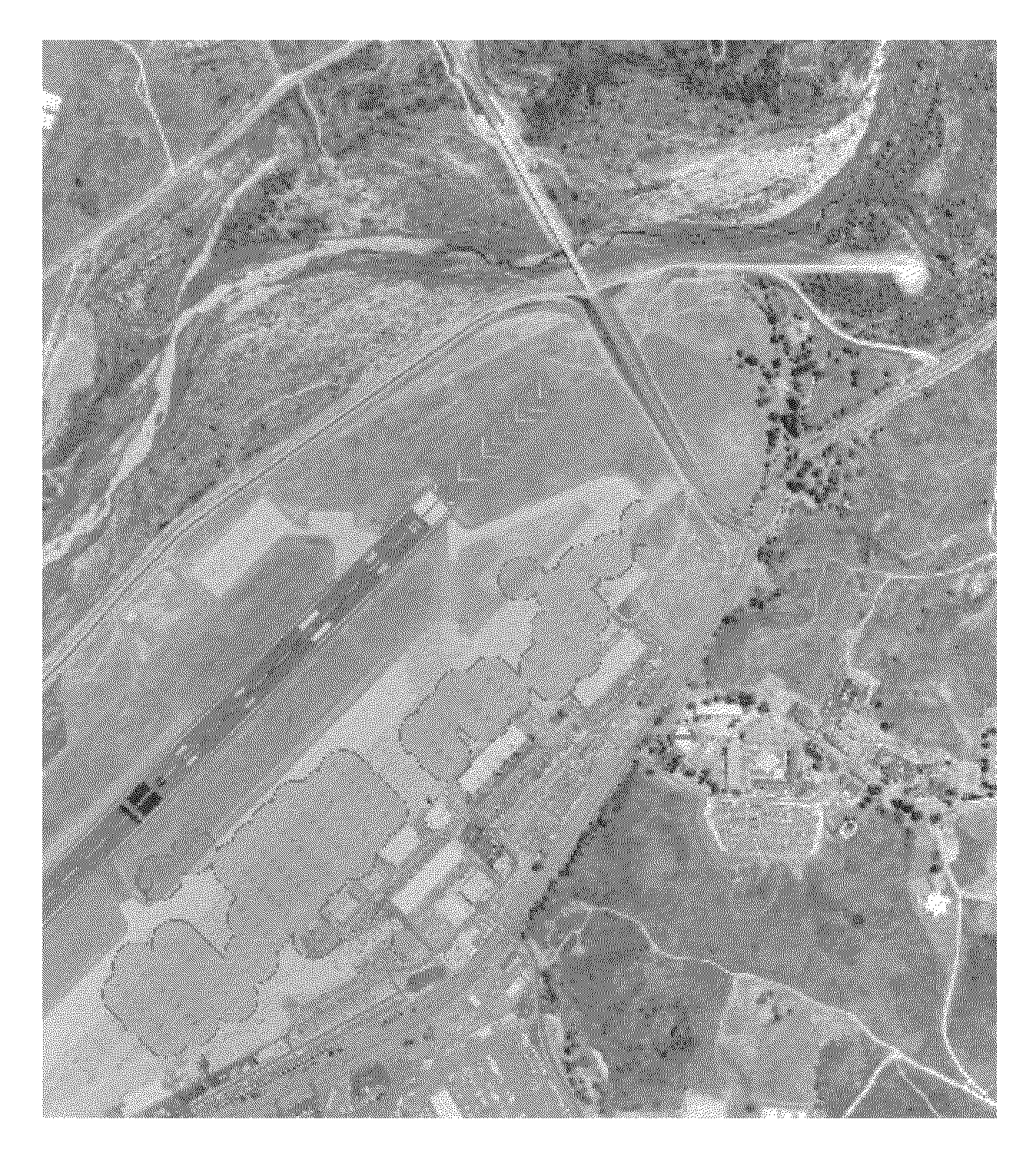 Method of recognizing an object in an image using multi-sensor integration through conditionally optimal geoscene generation and registration