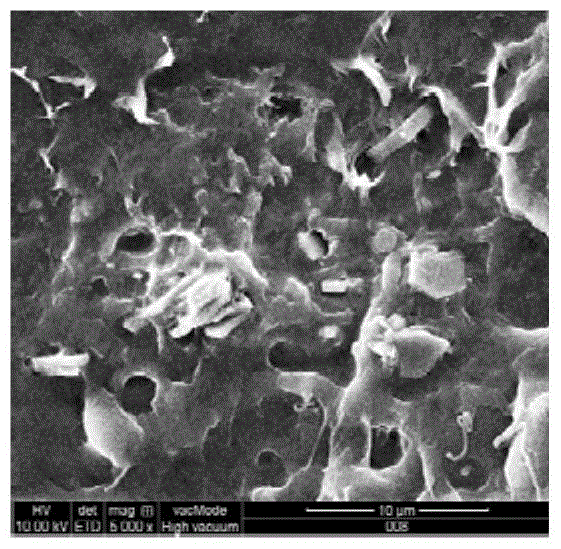 A polylactic acid composite material for promoting bone growth and biocompatibility and its preparation method