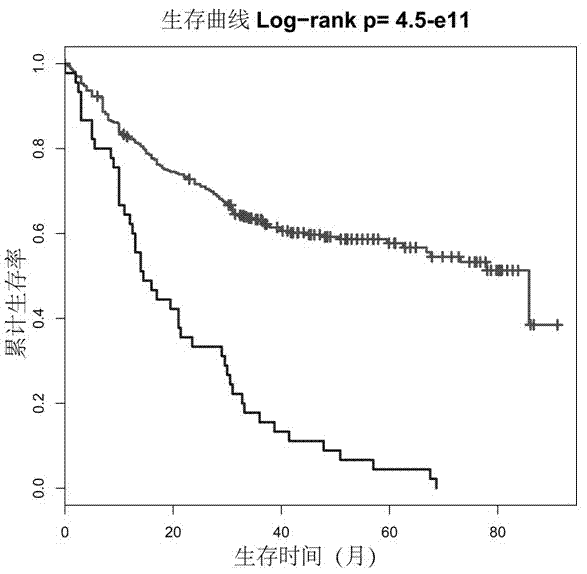 Real-time quantitative polymerase chain reaction (PCR) microarray chip kit for forecasting survival rate after liver cancer operation