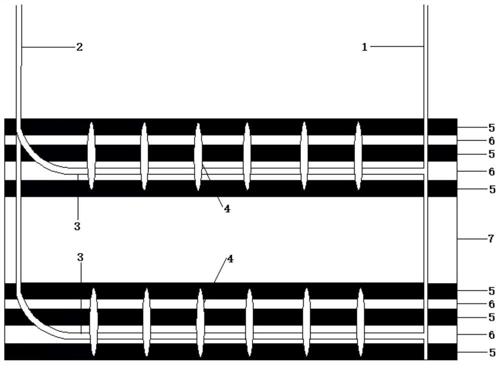 High-efficiency coalbed methane extraction method by staged fracturing in multi-bottom horizontal wells in thin coal seam groups with large spacing