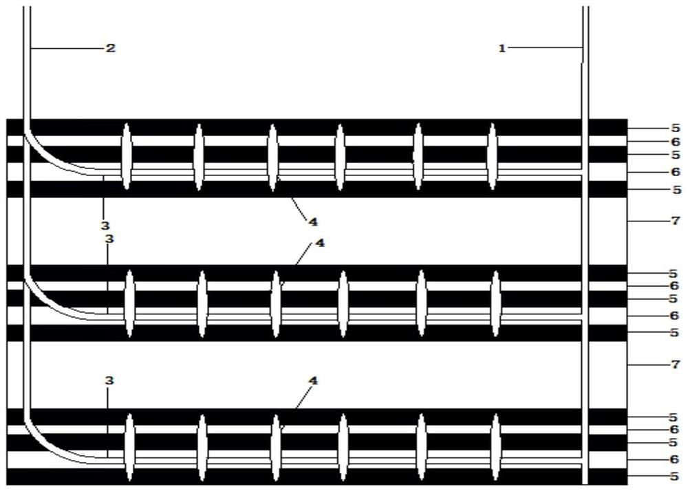 High-efficiency coalbed methane extraction method by staged fracturing in multi-bottom horizontal wells in thin coal seam groups with large spacing