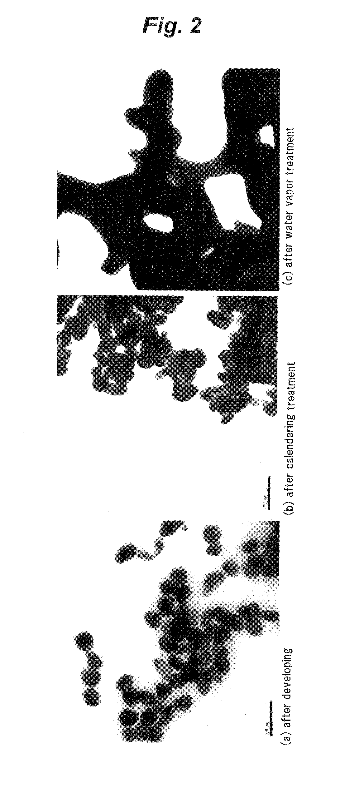 Conductive film and method of producing thereof