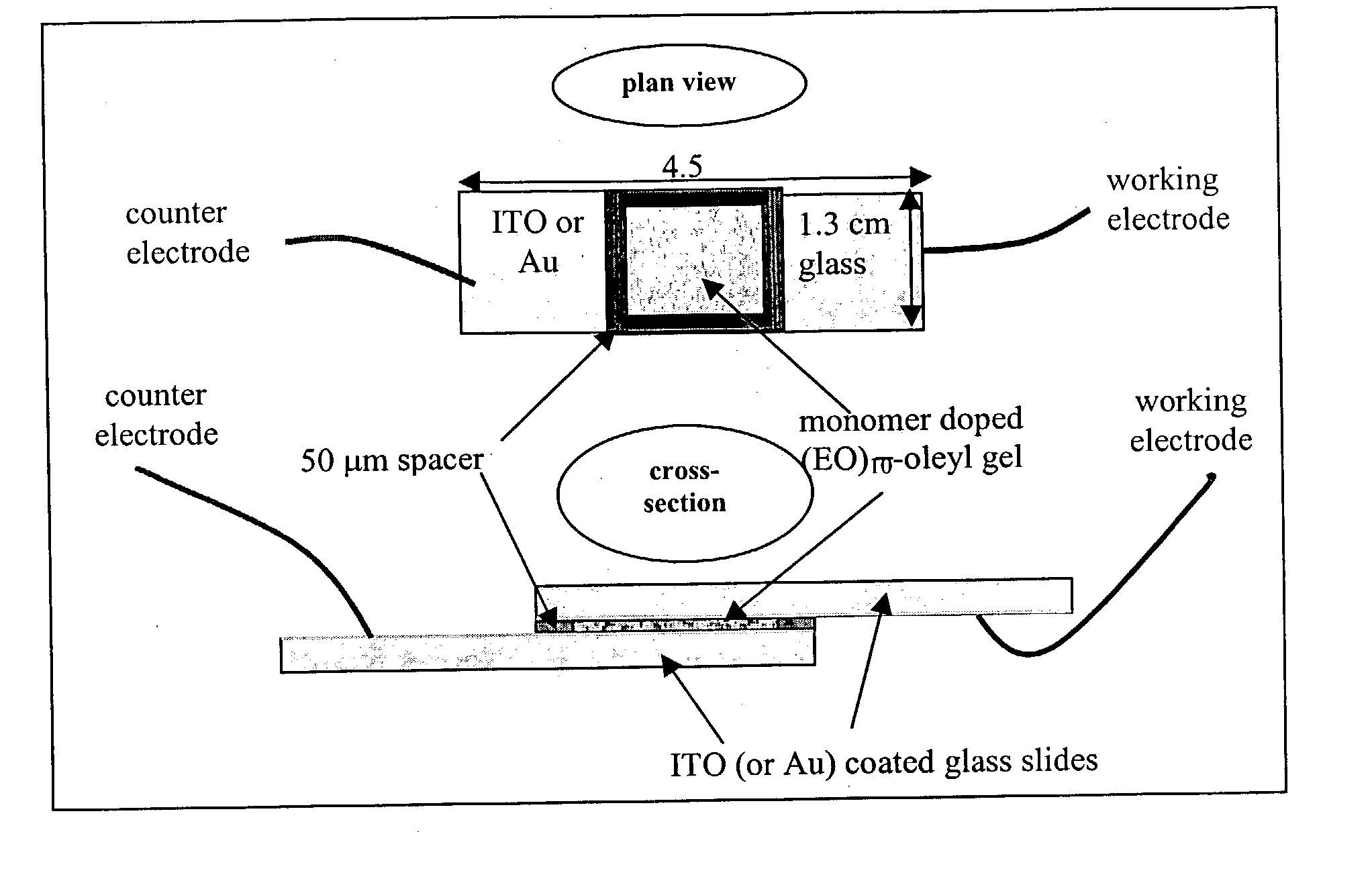 Liquid crystal-templated conducting organic polymers