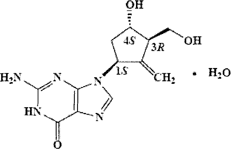 Entecavir soft capsule