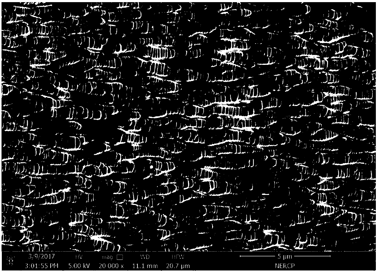 Novel Janus polymer hollow fiber membrane and preparation method and application thereof