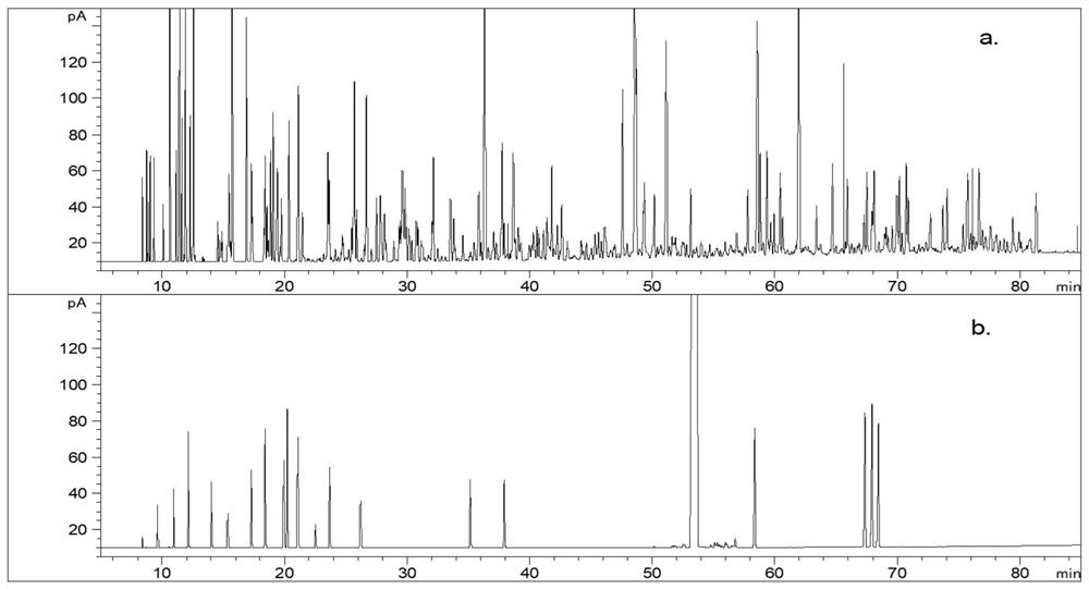 Gas chromatography system and method for detecting detailed composition of automotive gasoline