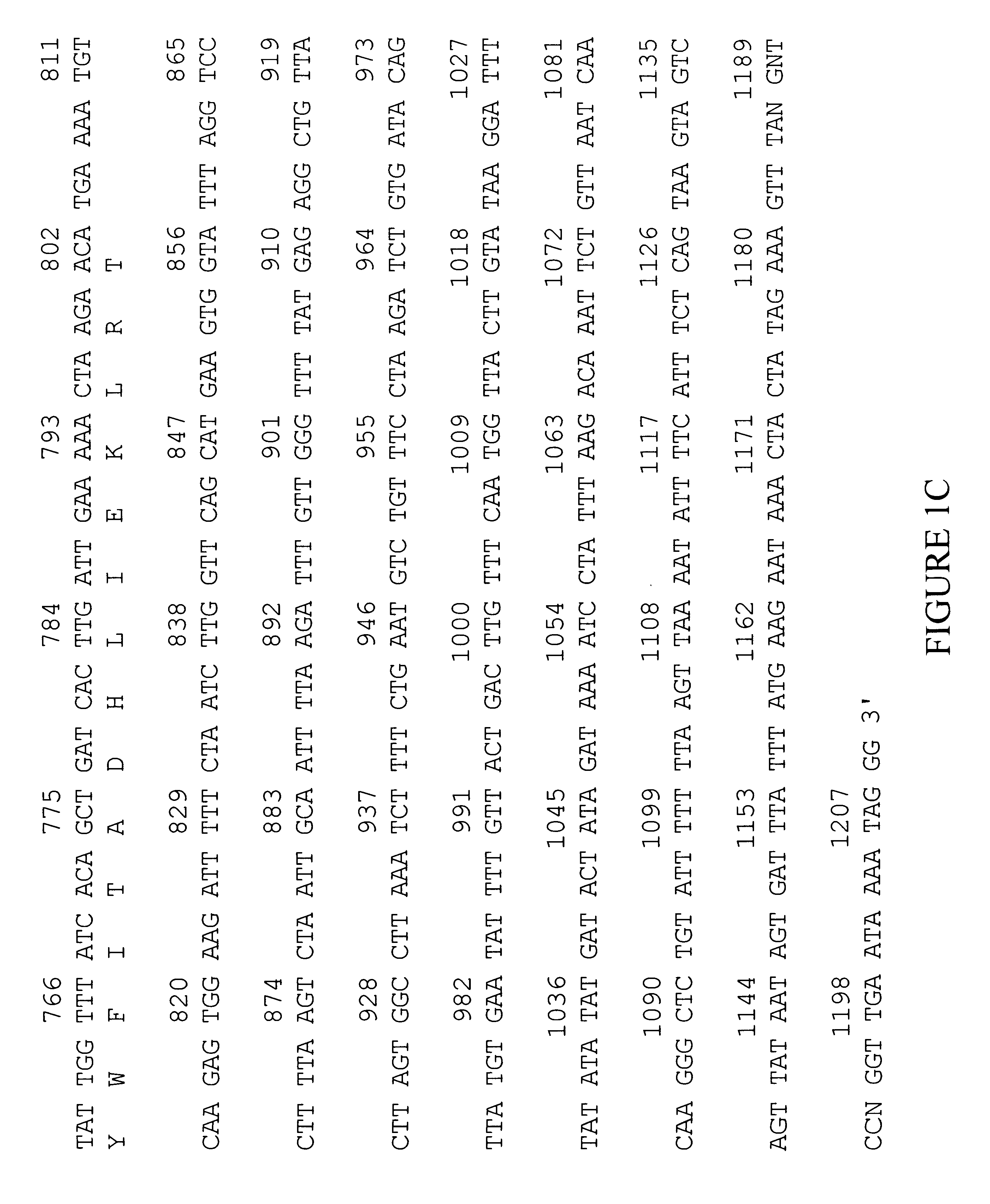 Human protein kinase C inhibitor