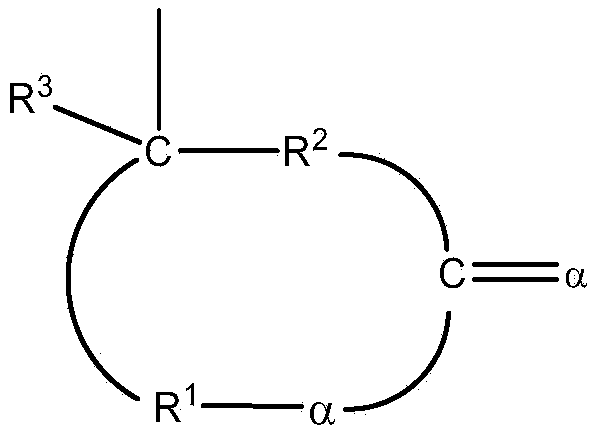 Polymers functionalized with lactones or thiolactones containing a protected amino group