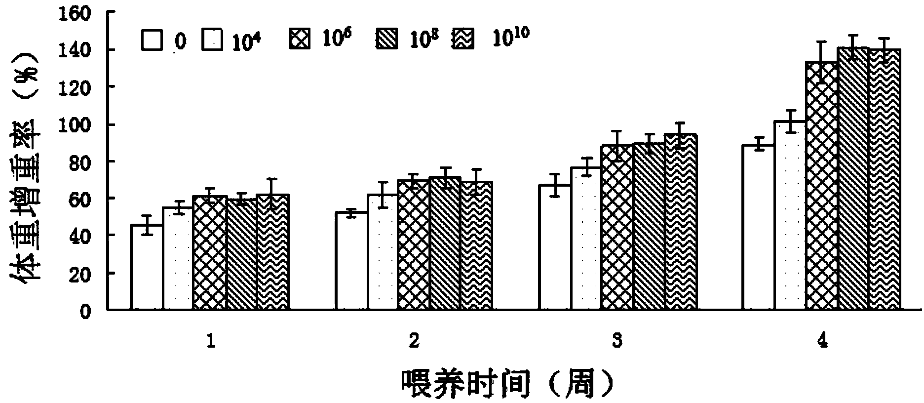 Formula and preparation method of large yellow croaker lactobacillus plantarum feed