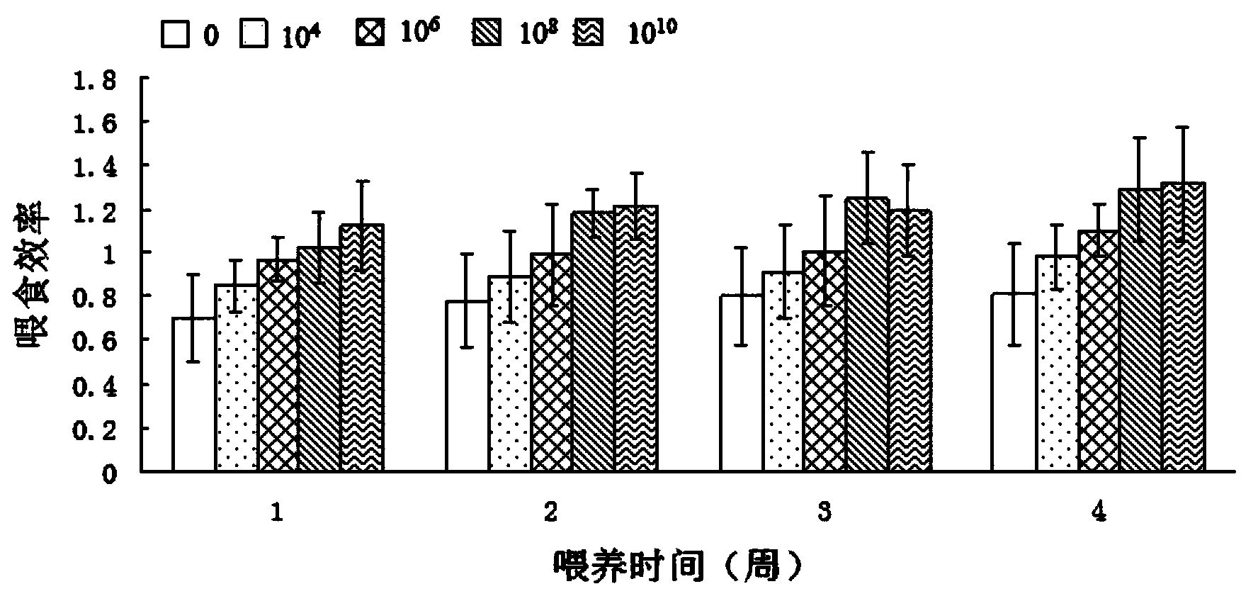 Formula and preparation method of large yellow croaker lactobacillus plantarum feed