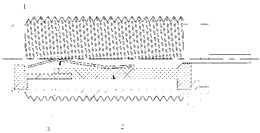 Reed-type radio frequency coaxial connector