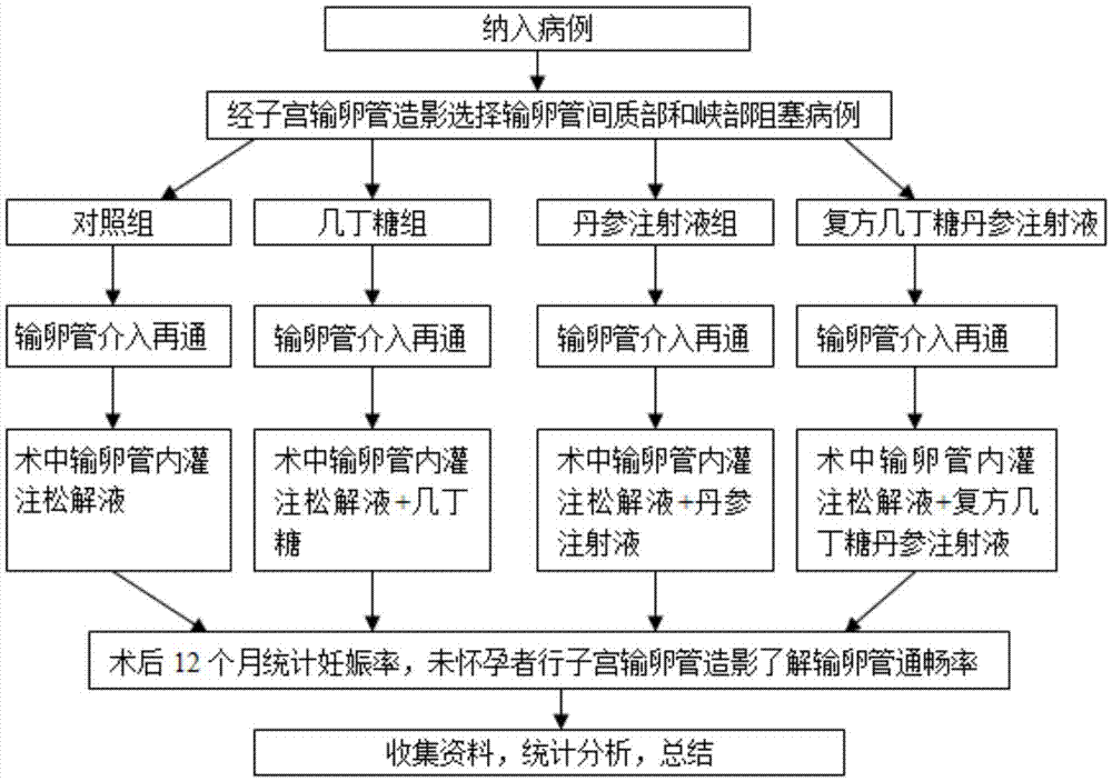 Chitosan-salvia miltiorrhiza injection and preparation method thereof