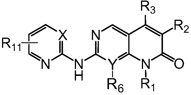 Pyrimidine or pyridopyridone compound and its preparation method and application