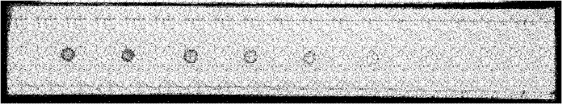 Method for detecting trace of albumin in urine