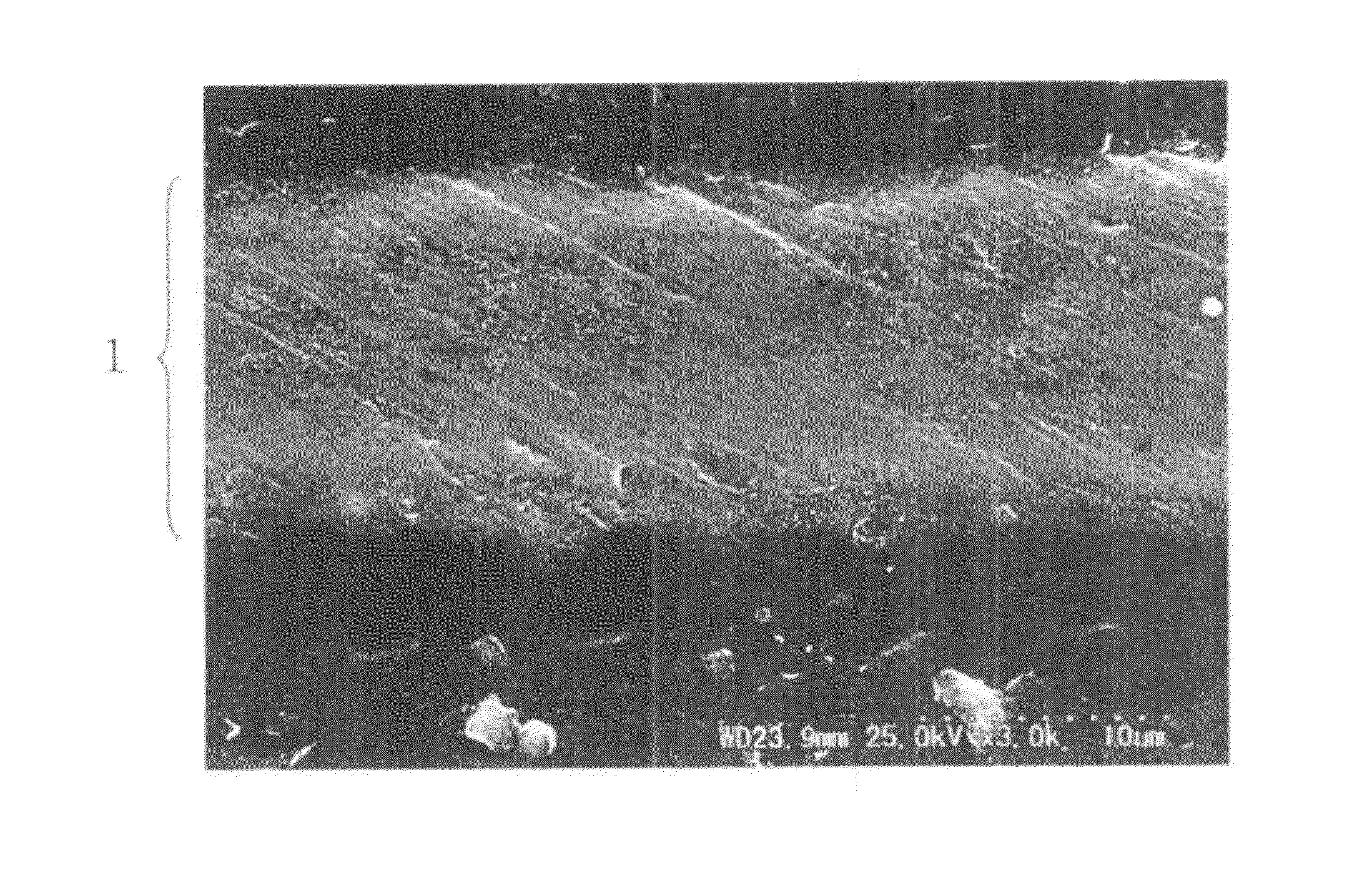 Dentin mineralizing agent and method for production thereof