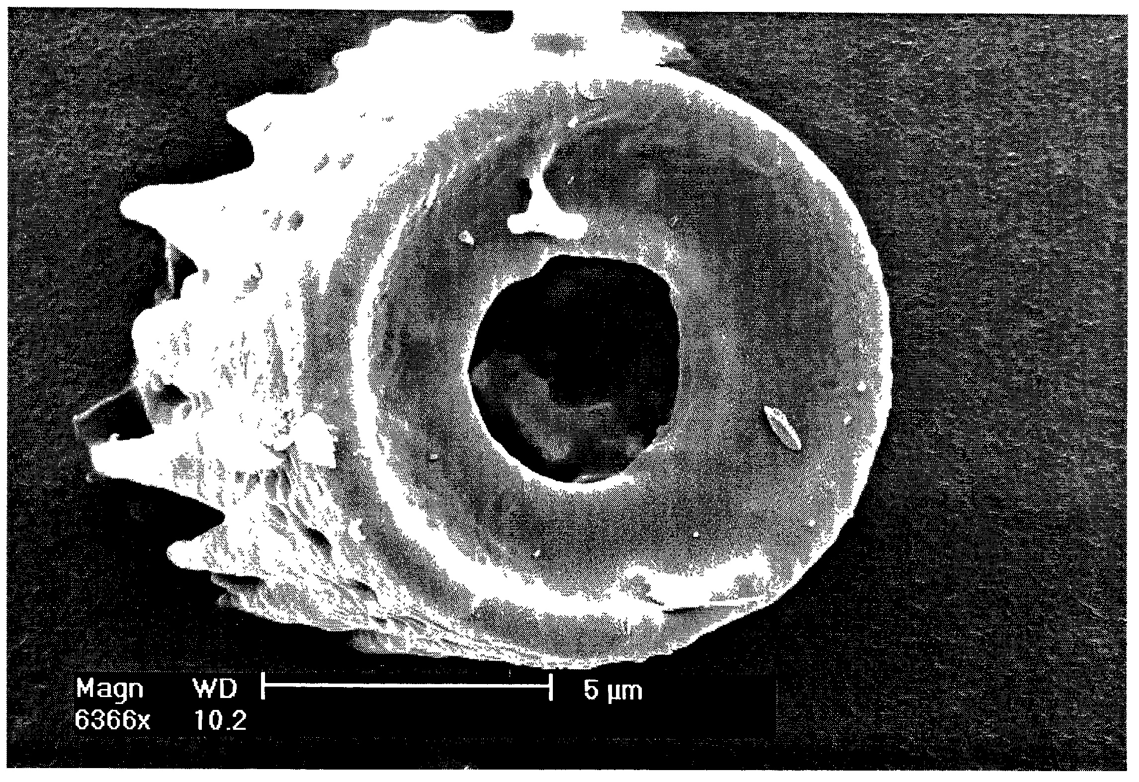 Shaped microcomponent via reactive conversion of biologically-derived microtemplates