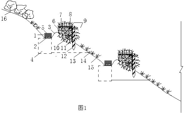 Rain collection purification system for preventing water and soil loss caused by rain wash in mountains